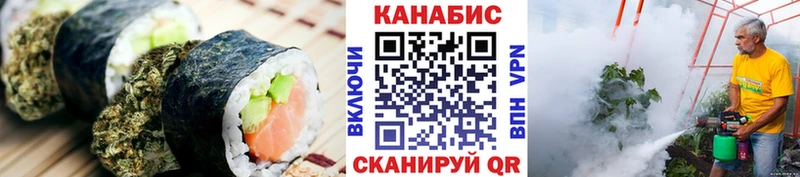закладки  Егорьевск  MEGA ТОР  Canna-Cookies конопля 