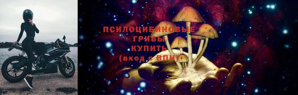 бошки Богданович