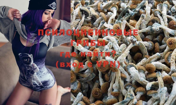 бошки Богданович