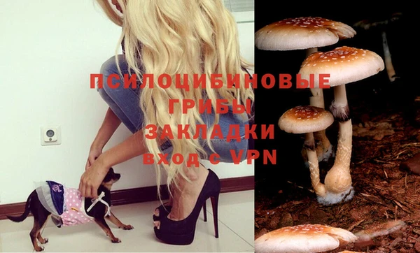 бошки Богданович