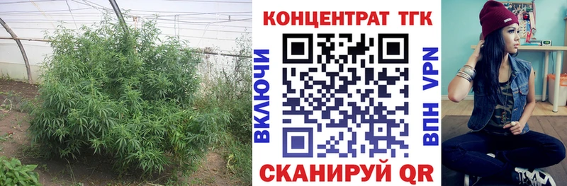 Дистиллят ТГК жижа Егорьевск