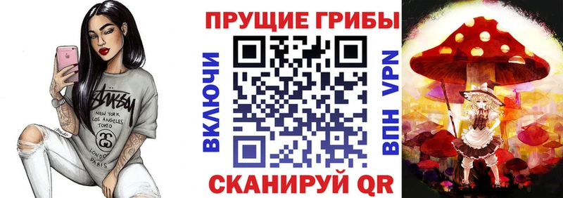 наркотики Егорьевск Псилоцибиновые грибы Cubensis