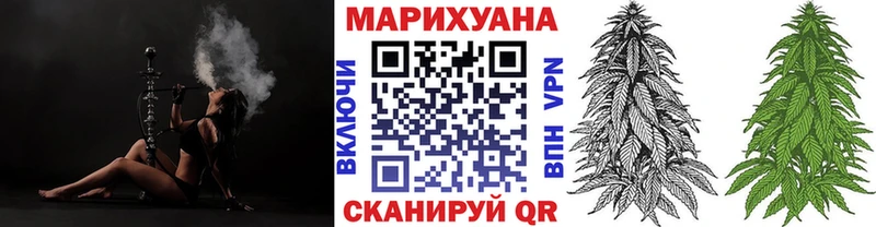 Бошки Шишки семена Егорьевск